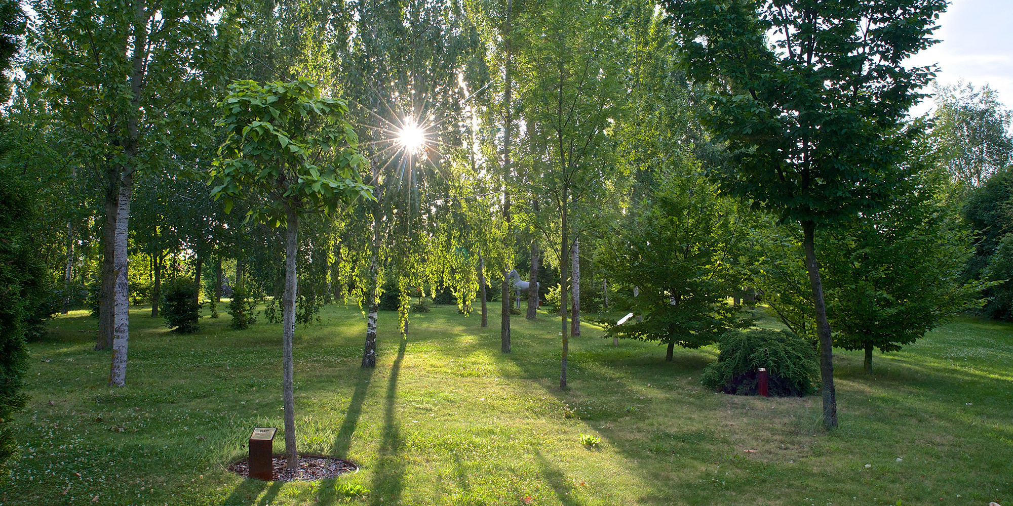 Arboretum Dagmar a Václava Havlových v zahradách Botanicus