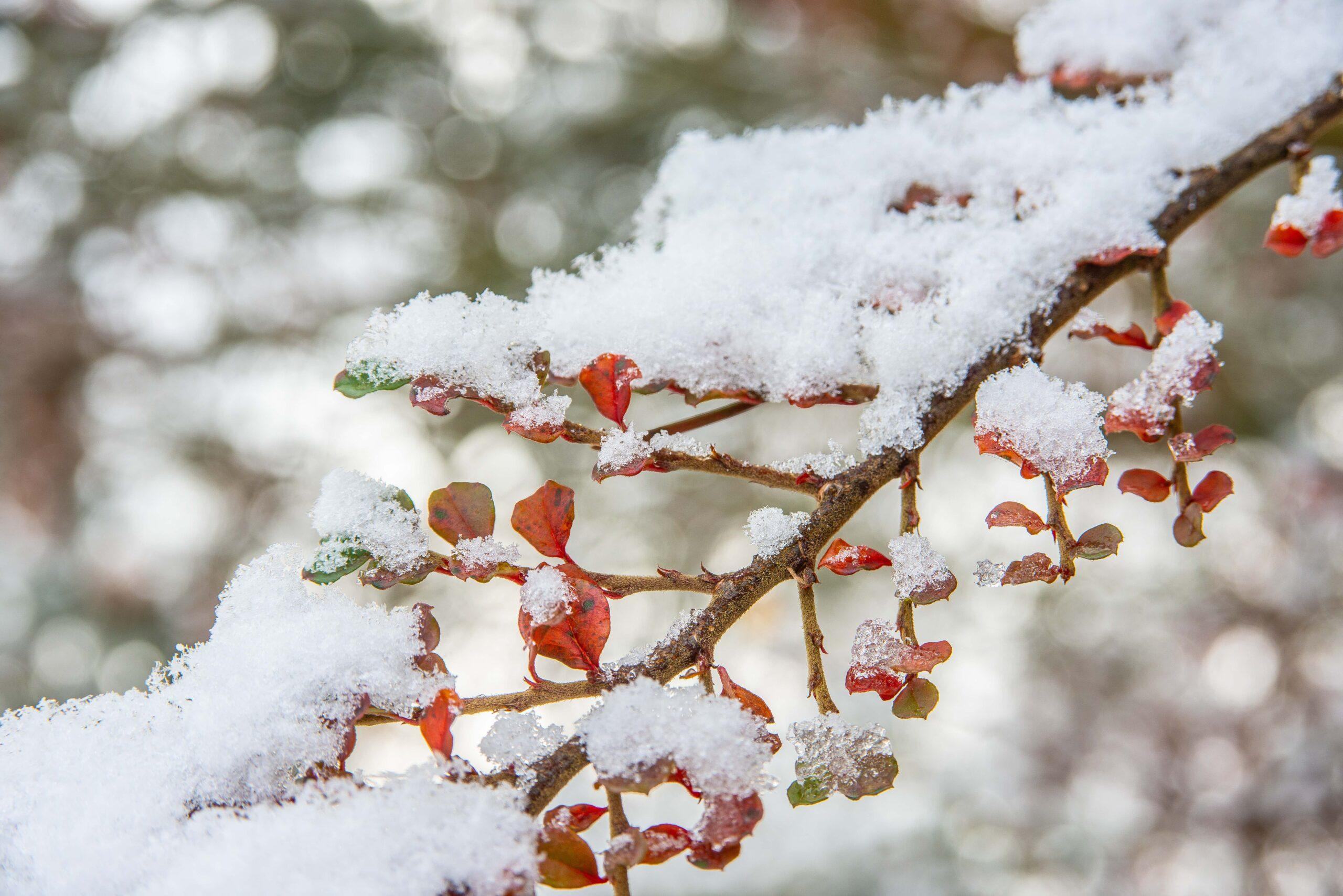 Advent – čas zamyšlení a radostného očekávání